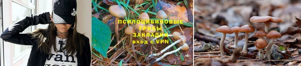 кокаин Каменногорск