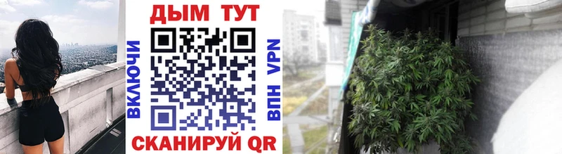 Канабис MAZAR  Купить где  Курганинск 